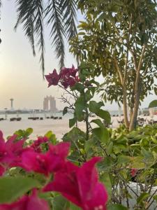 The St. Regis Abu Dhabi - 37