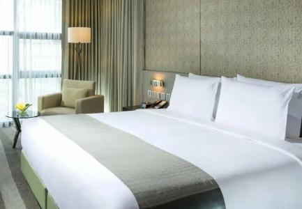 Holiday Inn Bangkok Sukhumvit, an IHG - 85