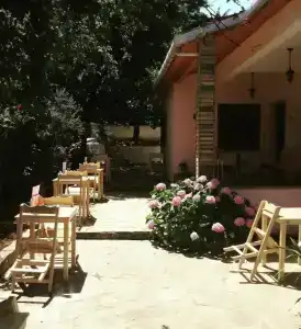 Elisa Butik Otel - 4