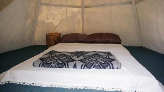 Shiva Camp - 59