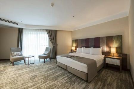 Ramada by Wyndham Gemli̇k - 76