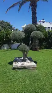 Asdem Park Otel - 19