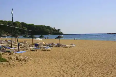 AQI Pegasos Club - 77