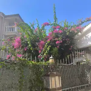 Narcia Resort Side - Ultra All Inclusive - 20