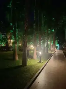 Botanik Platinum - 80