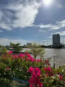 The Royal River - 57