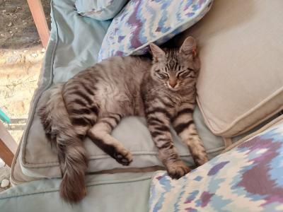 Radisson Collection, Bodrum - 49