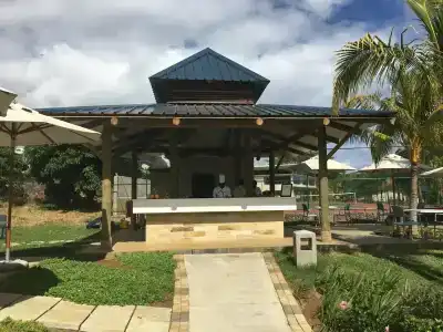 Anelia Resort & Spa - 72