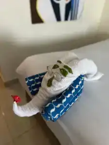 Bellagio Beach Resort & Spa - 67