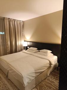 Falkensteiner Belgrade - 29