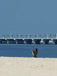 Al Habtoor Grand Resort, Autograph Collection By Marriott - 66