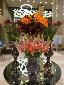 Clarion Golden Horn - 54