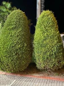 Narcia Resort Side - Ultra All Inclusive - 57