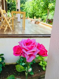 Elisa Butik Otel - 8