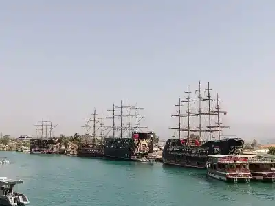 Paloma Finesse Side - 14