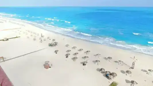 Tolip North Coast - 4