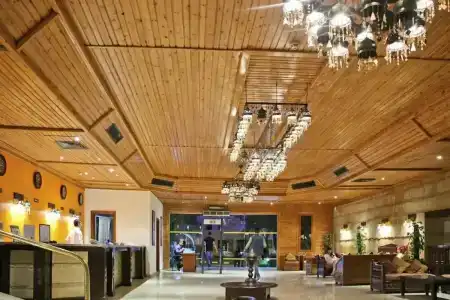 Falcon Naama Star - 70