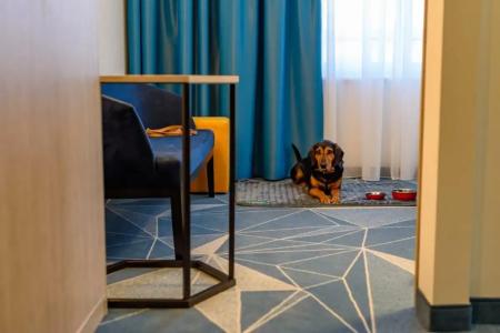 ibis Styles Bad Reichenhall - 56