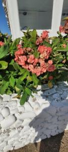 Meraki Resort - Adults Only - 87