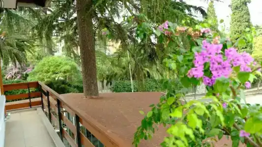 Nizam Butik Otel Büyükada - 20