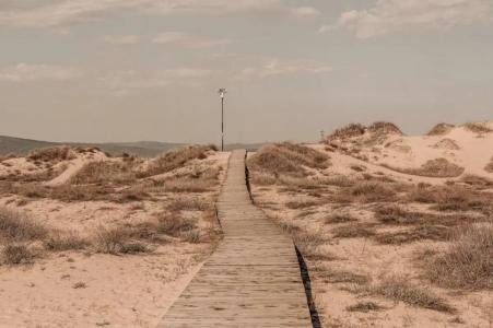 Cook's Club Sunny Beach - Adults Only - 9