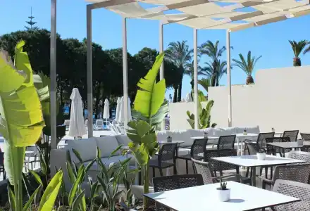 Paloma Perissia - 56