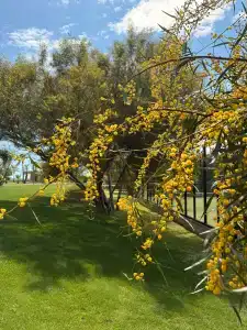 Lara Barut Collection - All Inclusive - 38