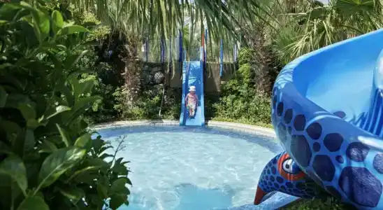 Pine Bay Holiday Resort - 46