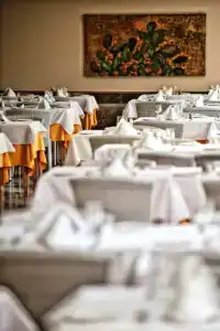 Spring Bitácora - 83