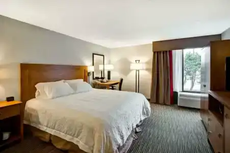 Hampton Inn Norfolk-Naval Base - 3