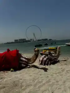 Rixos Premium Dubai JBR - 87