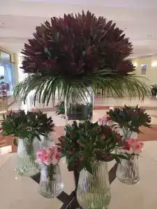 Coral Beach Resort Sharjah - 34