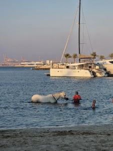 JA Lake View, Dubai - 84