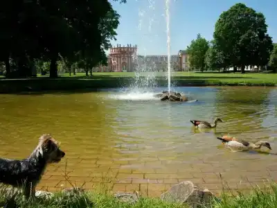 Am Schlosspark , Wiesbaden - 2