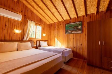 Caretta Caretta Pension - 2