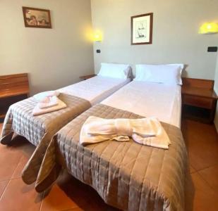 Audi Frontemare - 10