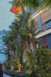 S2 Airport Residence - 26