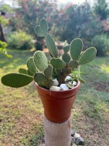 Berke Ranch&Nature - 38