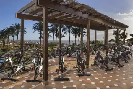 Melia Jardines del Teide - Adults Only - 17