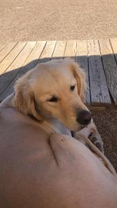 Tourist Antalya - 36