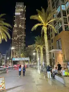 Al Bustan - 20