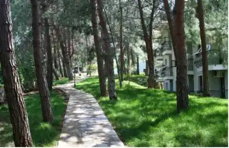 Greenland - All Inclusive - 9