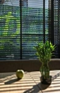Rosslyn Thracia Sofia - 95