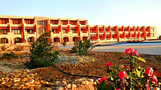 Viva Blue Resort and Diving Sharm El Naga (Adults Only) - 65