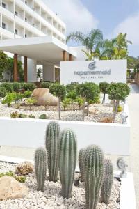 Napa Mermaid & Suites - 27