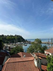 Adalya Port - 48