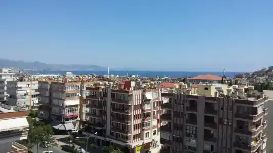 May Flower Apart - 79