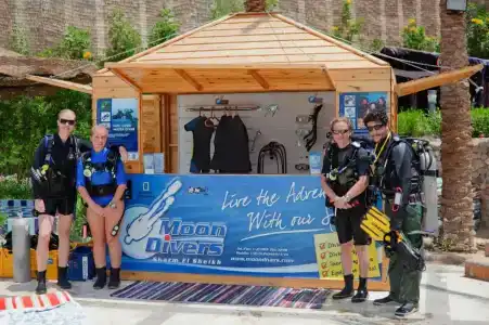 Falcon Naama Star - 58