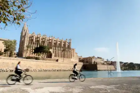 Ars Magna Bleisure - 3