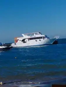 Palm Beach Resort Families and Couples only - 19